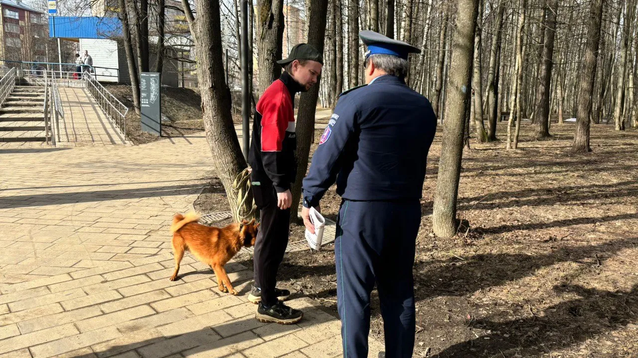 Фото: Министерство сельского хозяйства и продовольствия Московской области