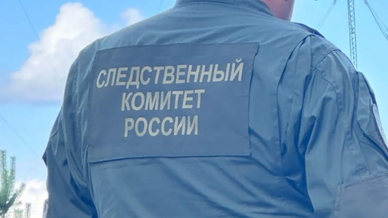 В Королеве завели дело по факту хулиганских действий в отношении ребенка