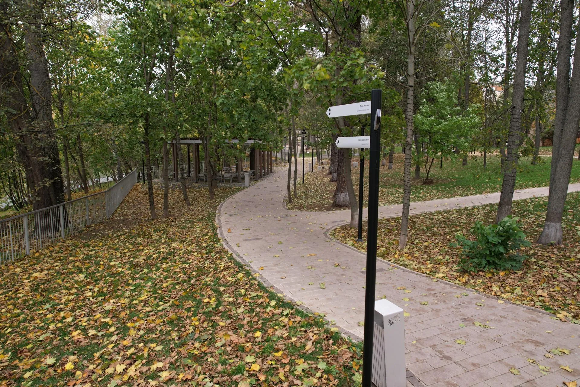 Фото: Ксения Борцова