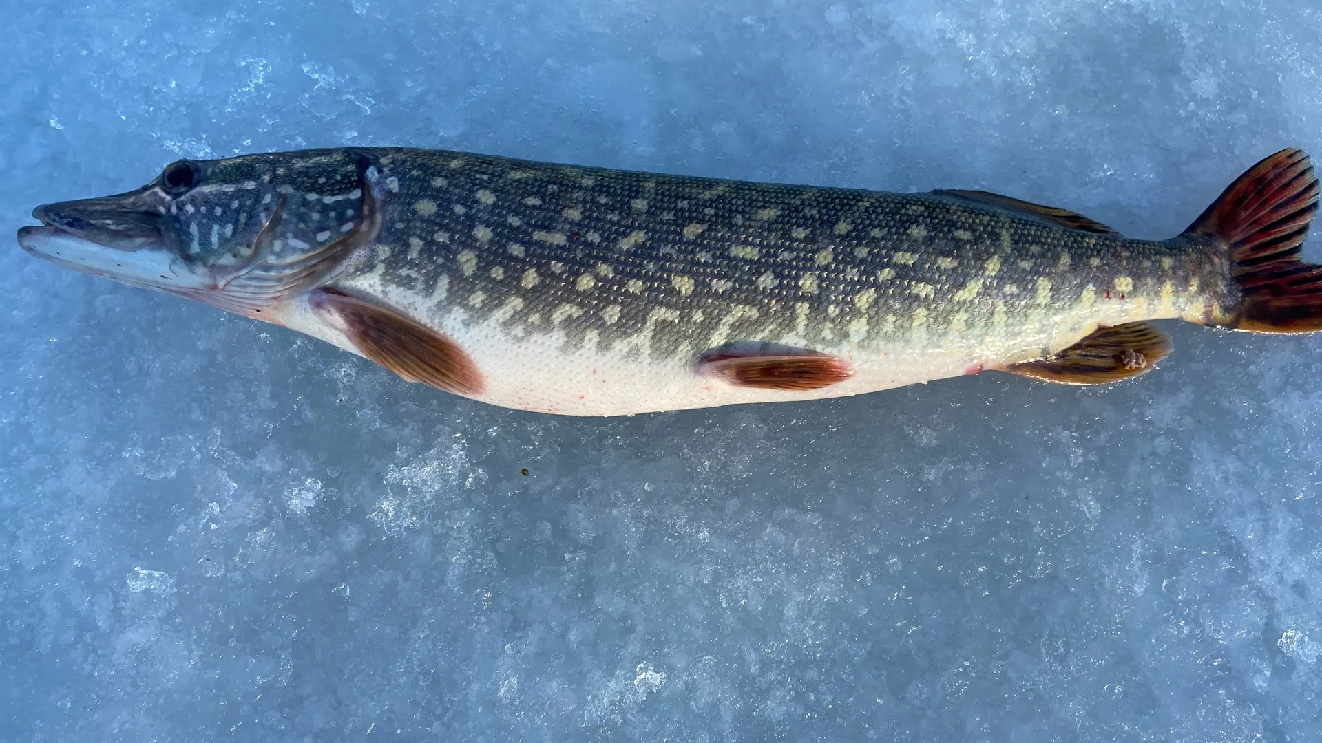 Фото: соцсети