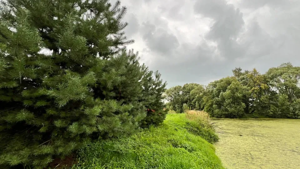 Фото: REGIONS/Елена Фурман