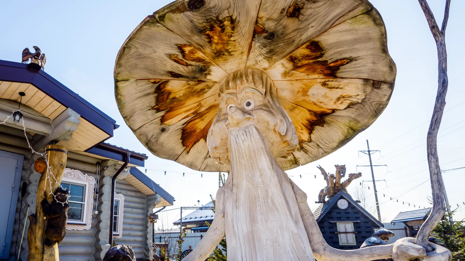 Фото: медиасток.рф