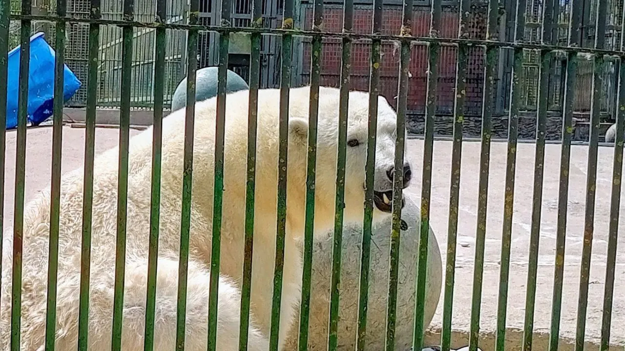 Фото: vk.com/Шилка. Моя жизнь