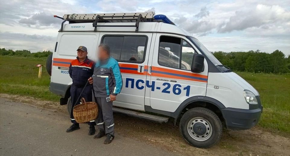 Заблудившегося в лесу грибника спасли возле деревни Семеновское