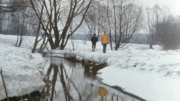 Скандинавский циклон принесет оттепель в столичный регион