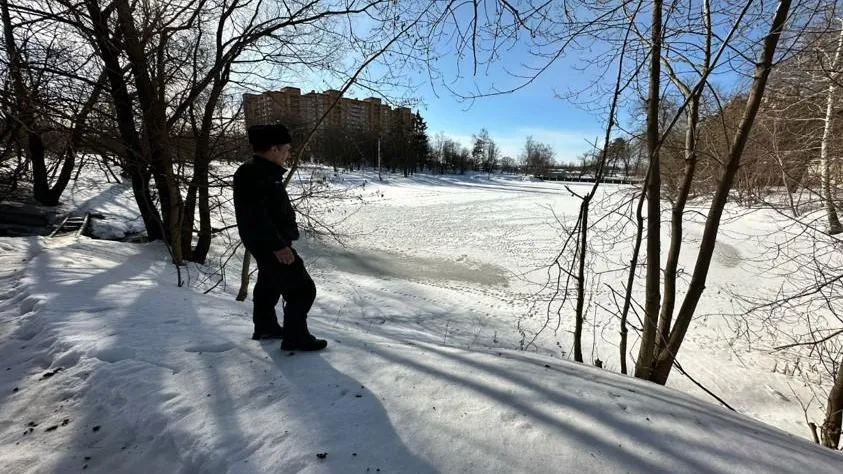 Источник: ГКУ МО «Мособлпожспас»