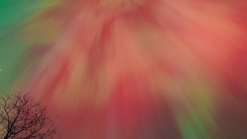 Фото из соцсетей