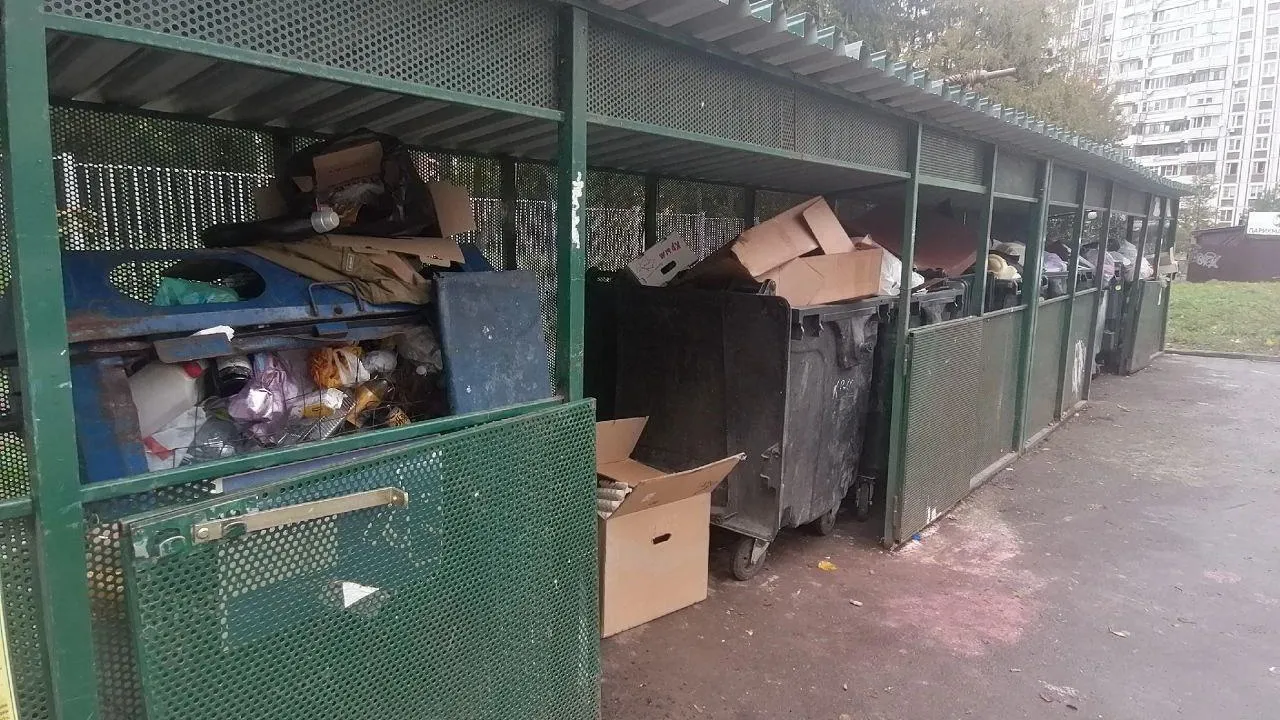 фото: Telegram-канал "КраснознаменскLIVE новости"