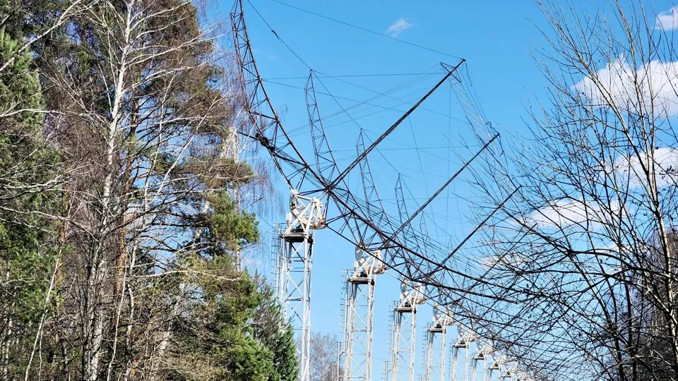 Фото: Мария Панина