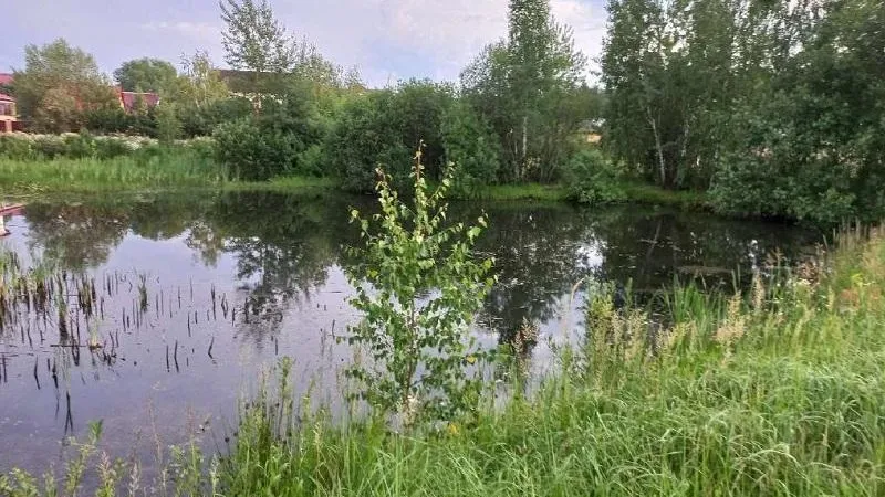 Фото: Минэкологии МО