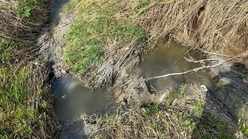 Фото: Министерство экологии и природопользования Московской области