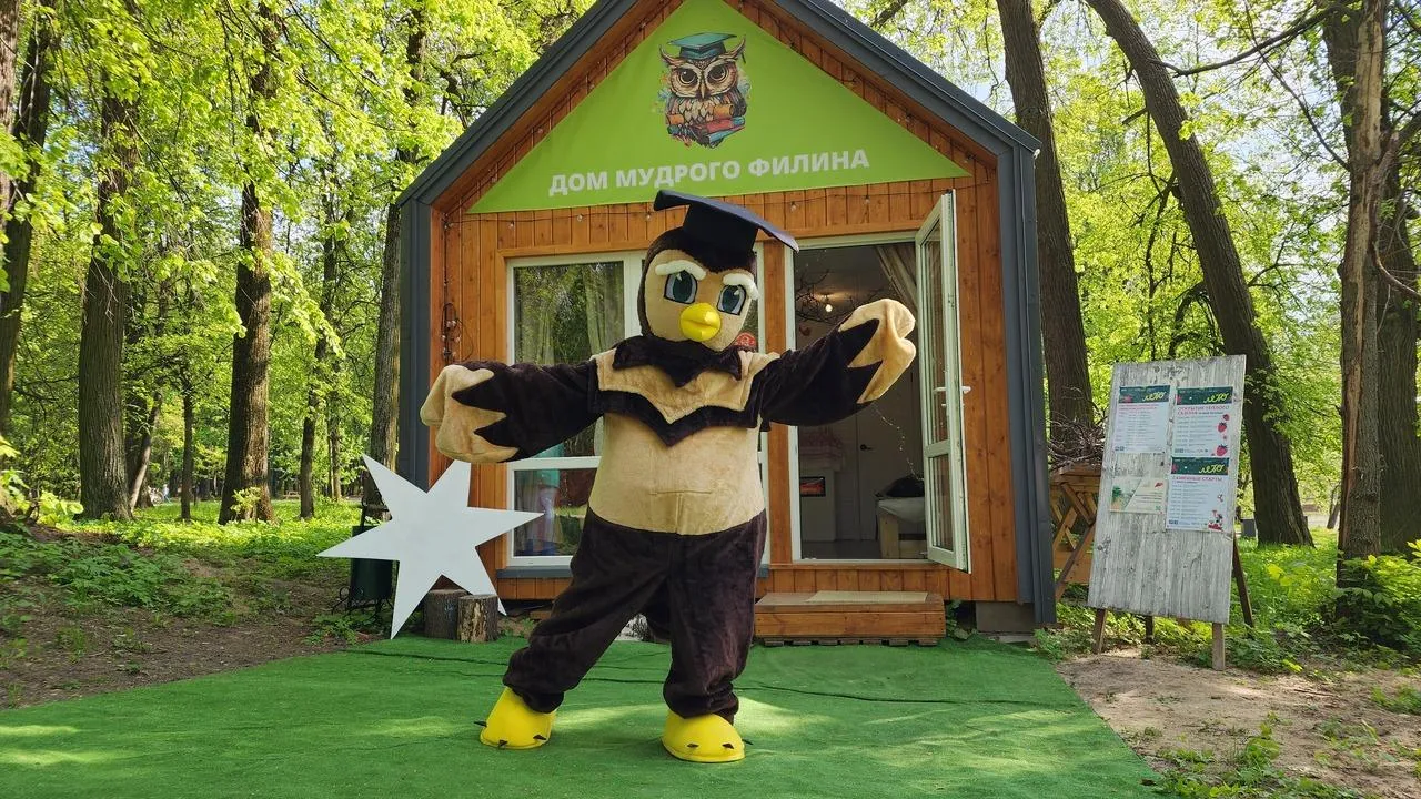 Картинка
