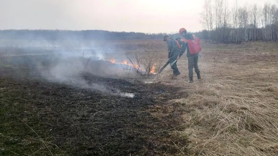 Фото: Александр Дрожжин
