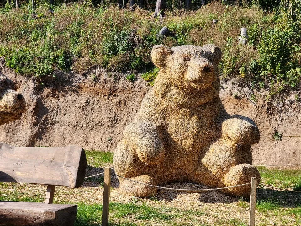 Фото: REGIONS/Елена Шеметова