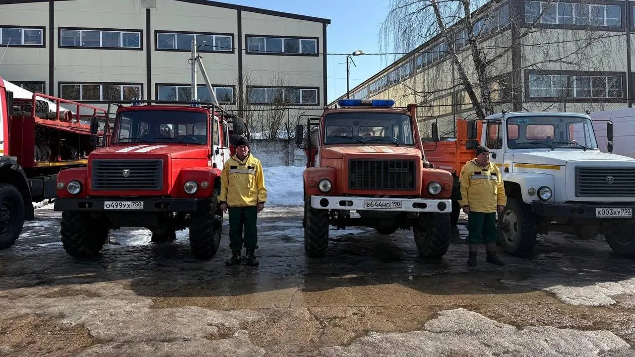 Звенигородский филиал ГАУ МО «Мособллес»
