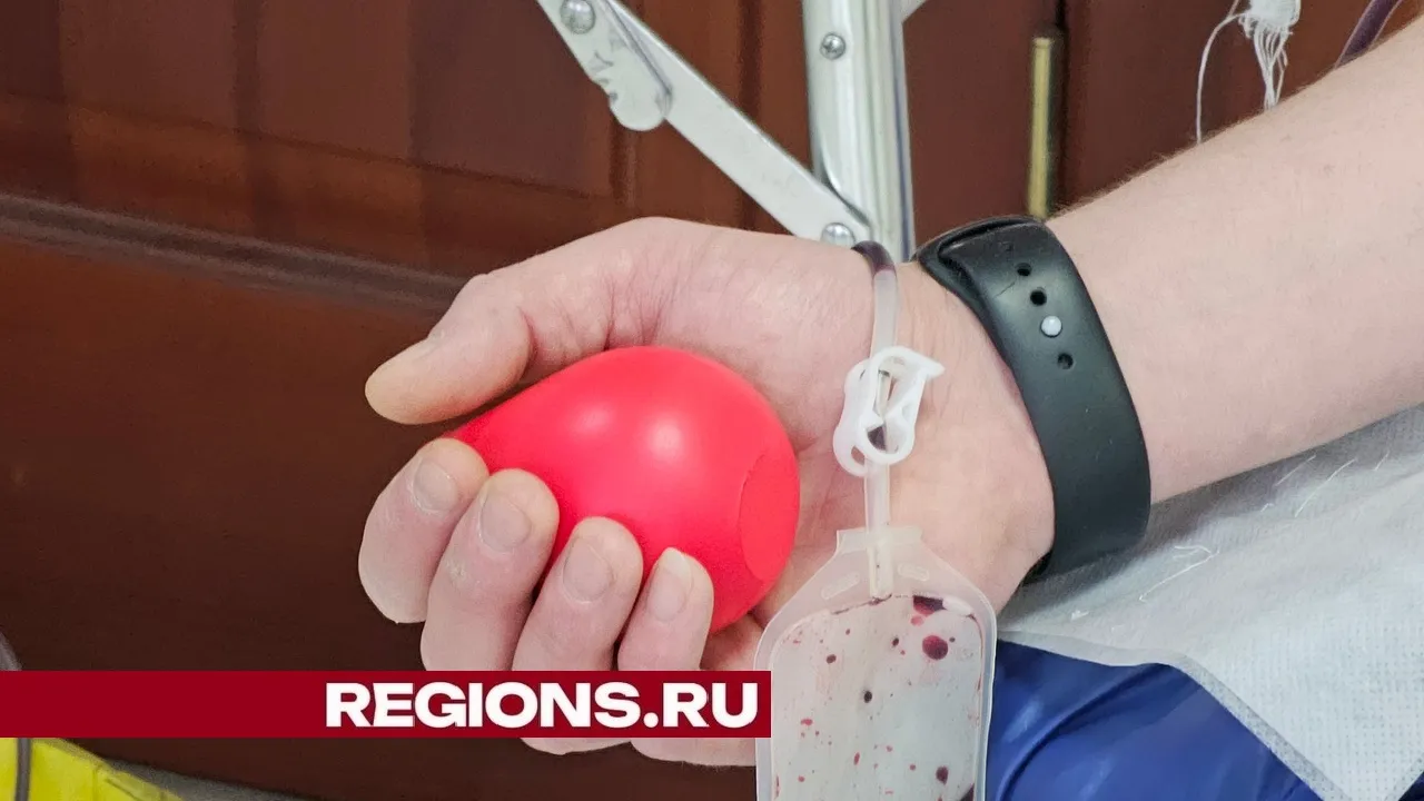 Фото Александра Дрожжина