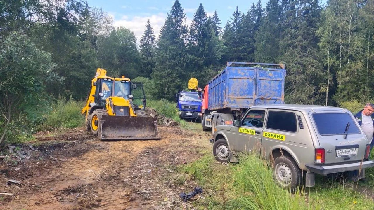 Комитет лесного хозяйства Московской области