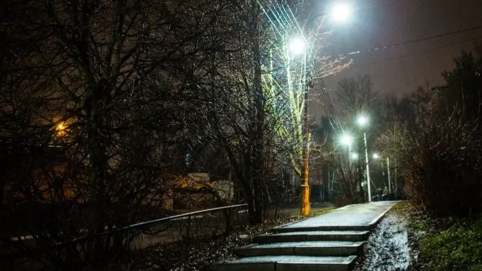 Фото: Министерство благоустройства Московской области