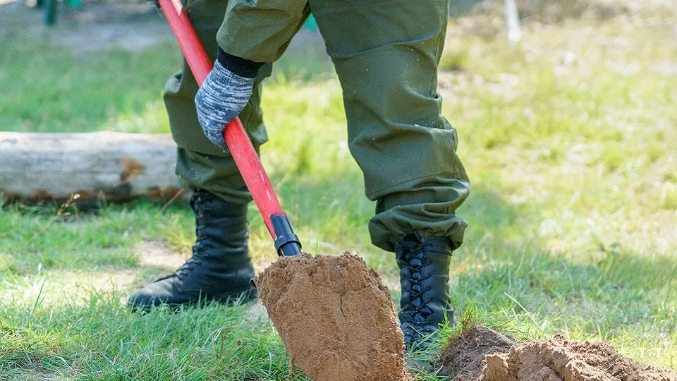 Фото: медиасток.рф