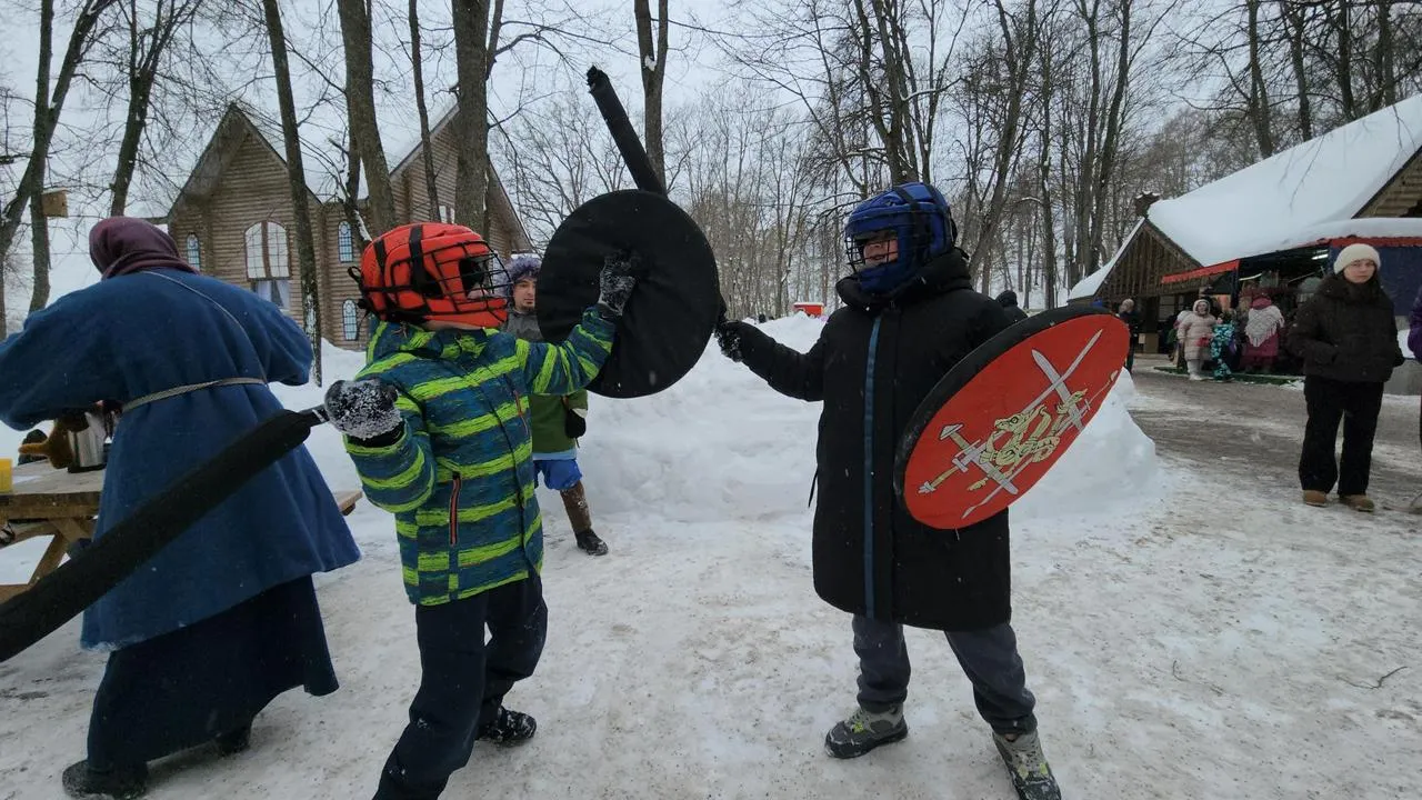 МедиаБанк Подмосковья/Екатерина Данилина