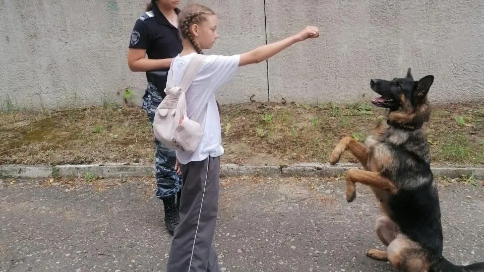 Фото: пресс-служба Администрации г.о. Шатура
