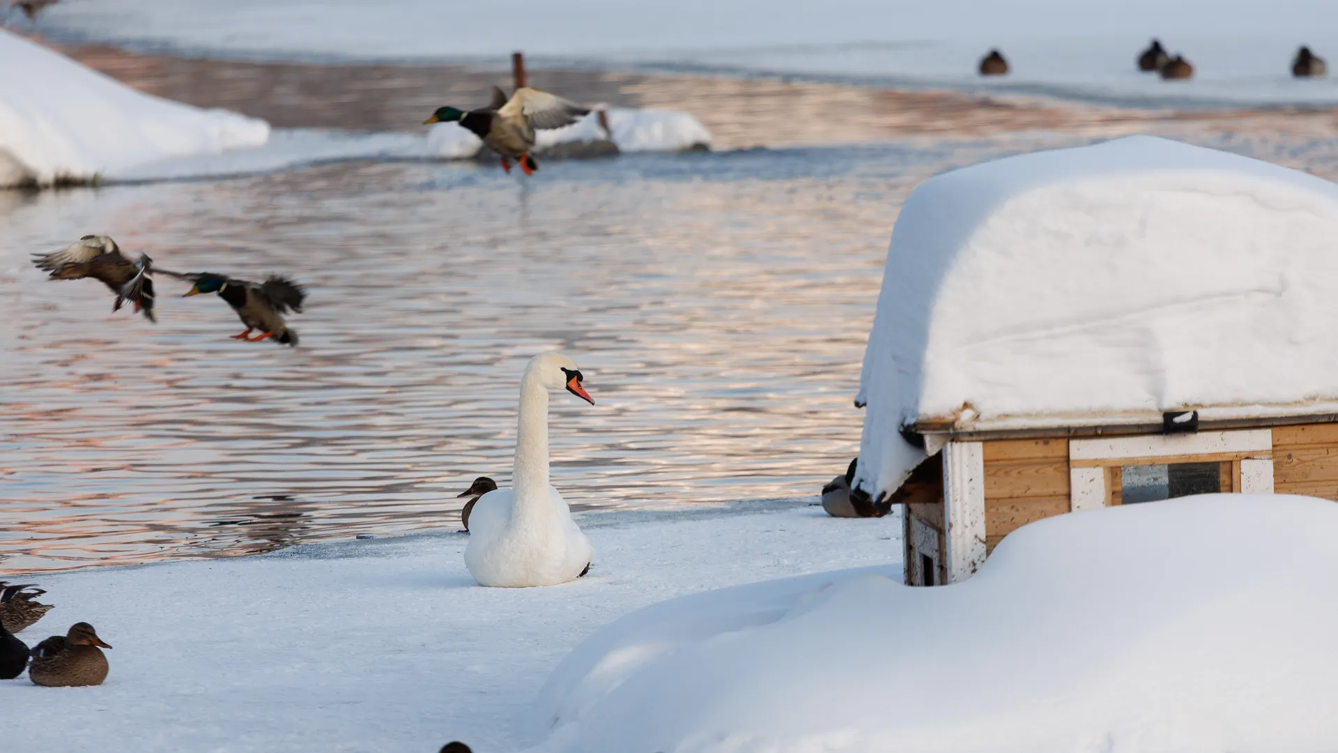 медиасток.рф