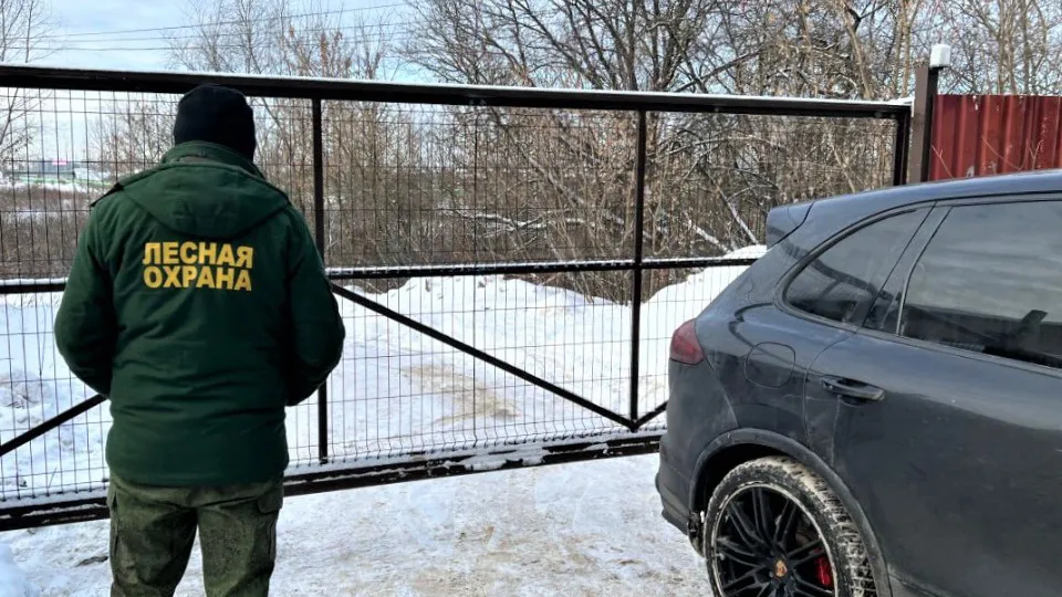 Фото: Комитет лесного хозяйства  Московской области