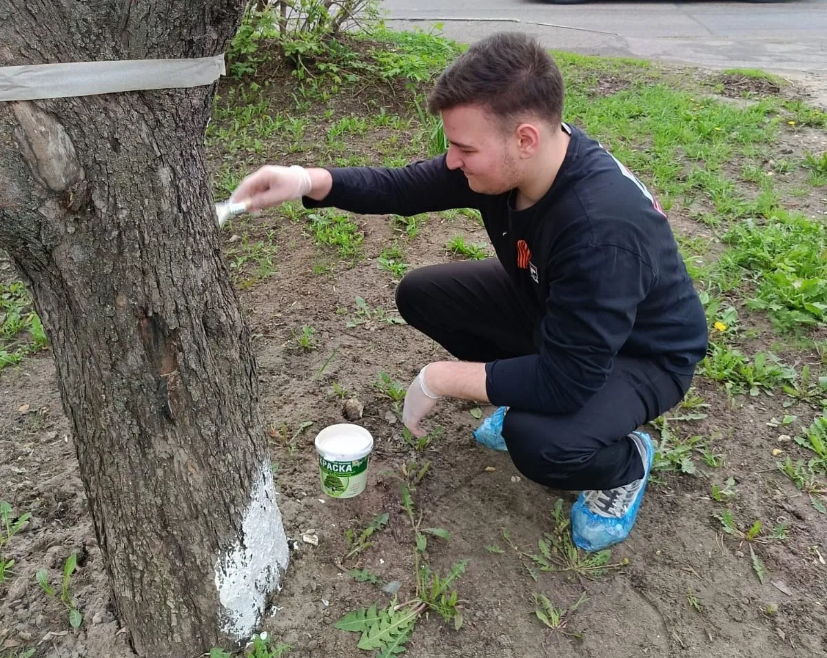 Фото: ВК-сообщество школы №2 им. Тимофеева