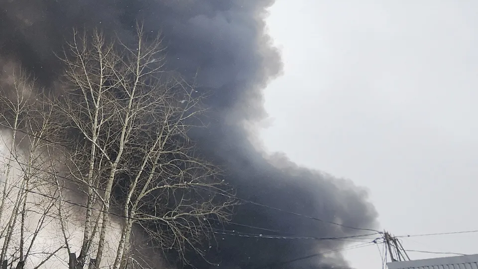 Фото: МедиаБанк Подмосковья/Мария Шигорева