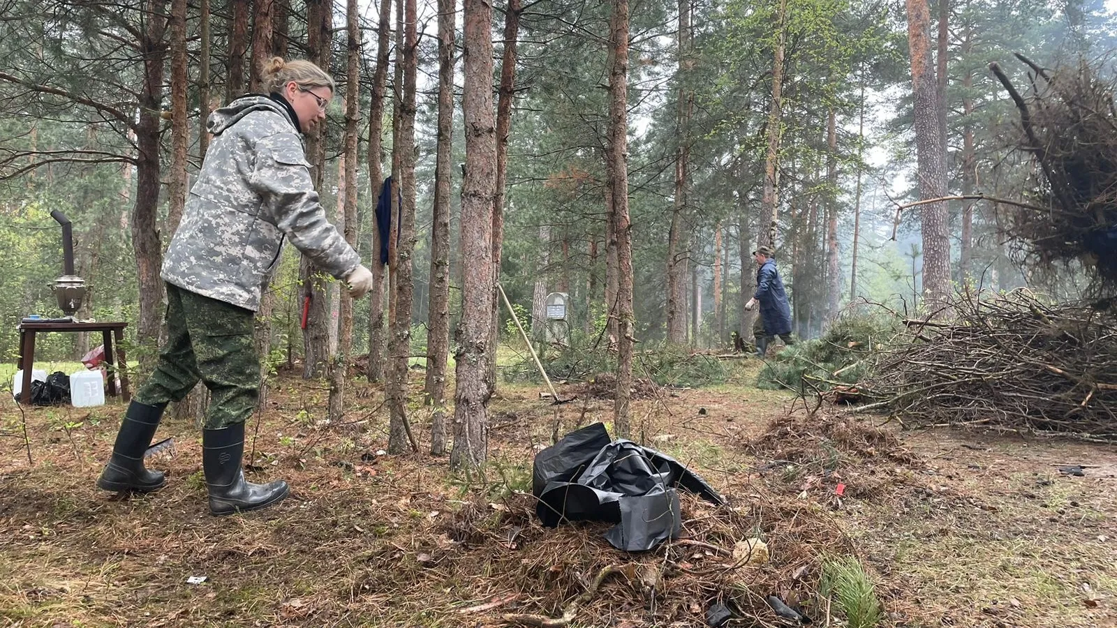 Фото: Егорьевское лесничество