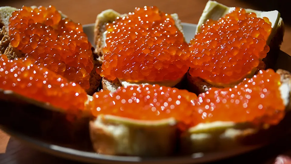 Фото: ТАСС/Юрий Смитюк