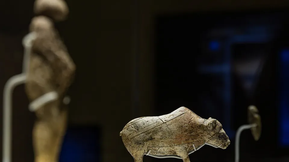 Фото: t.me/zarkreml