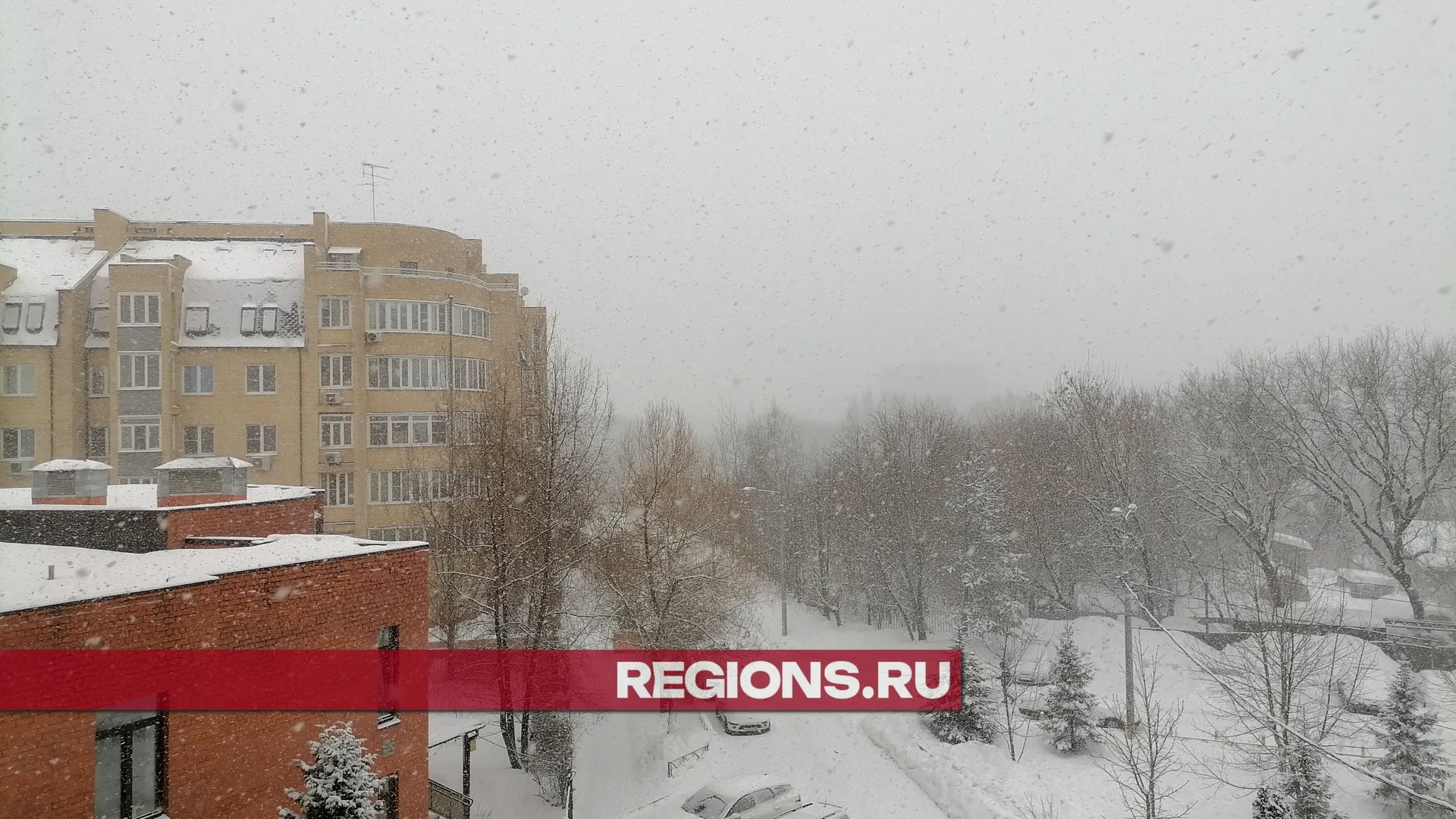 Фото: Александра Никитина