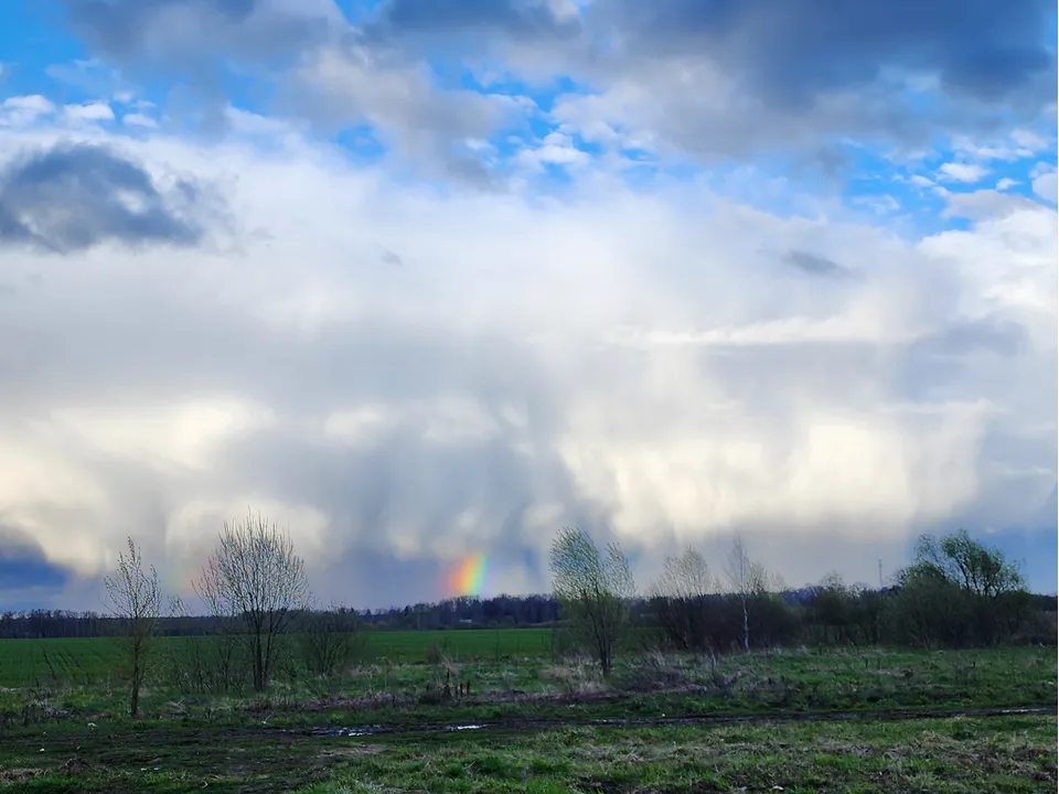 Фото: Наталия Надточая&nbsp;