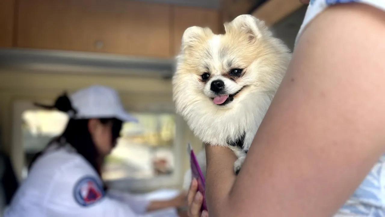 Фото: телеканал «Дубна»