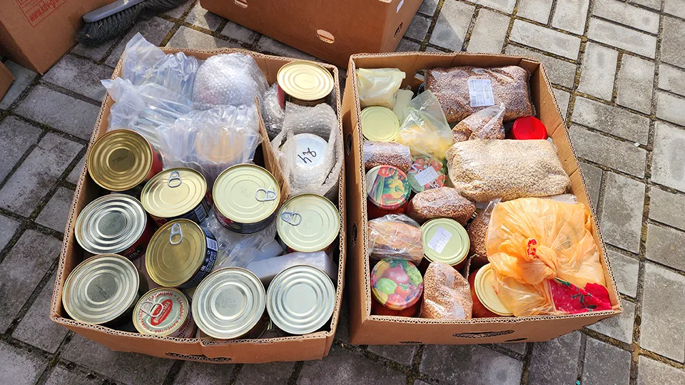 Фото: МедиаБанк Подмосковья/Вера Коренева