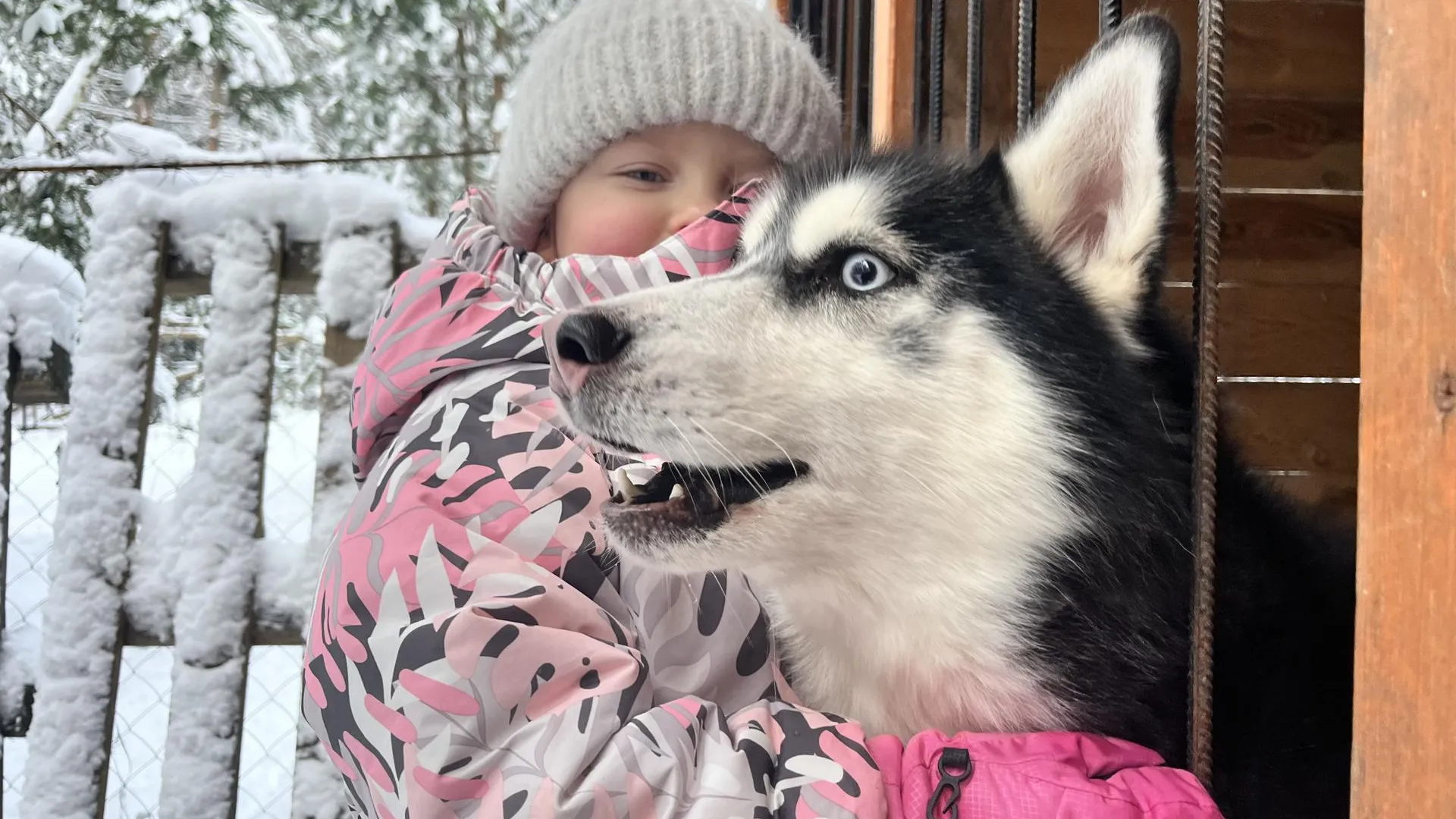 Фото: МедиаБанк Подмосковья/Ангелина Стельмух