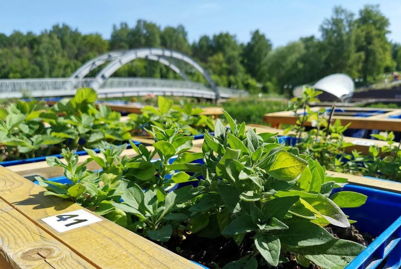 Министерство культуры и туризма МО