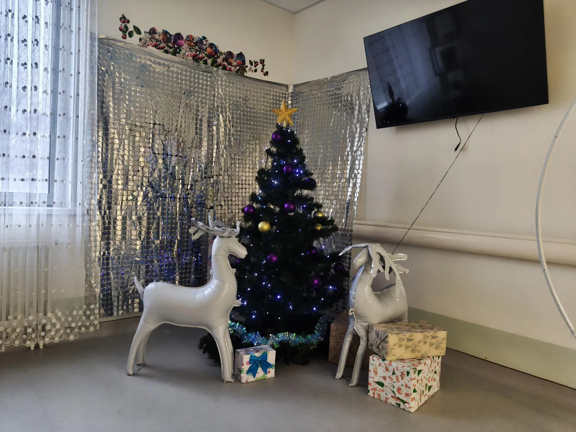 Фото: Сергей Орлов&nbsp;&nbsp;