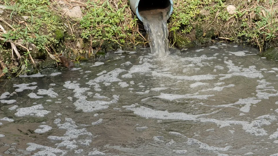 Фото: istockphoto.com