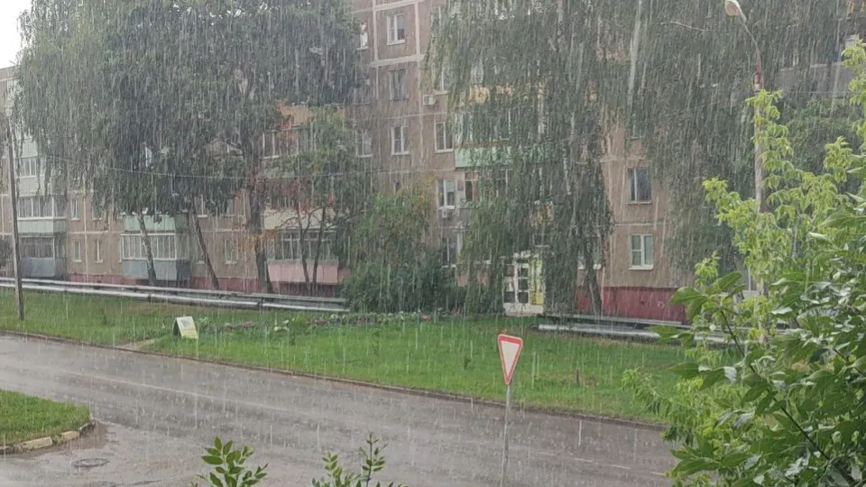 Фото: Елена Забелина