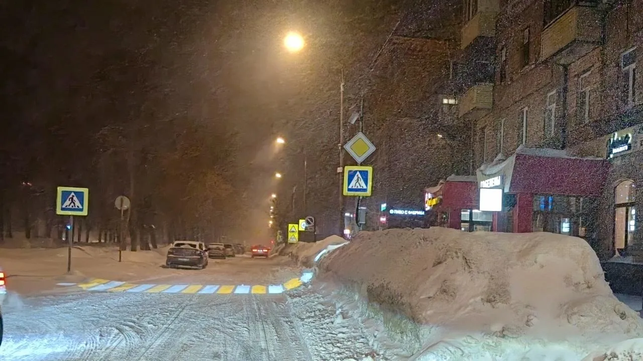 Наталья Лежнева