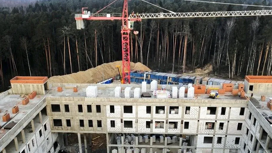 Фото: пресс-служба администрации Богородского городского округа Московской области