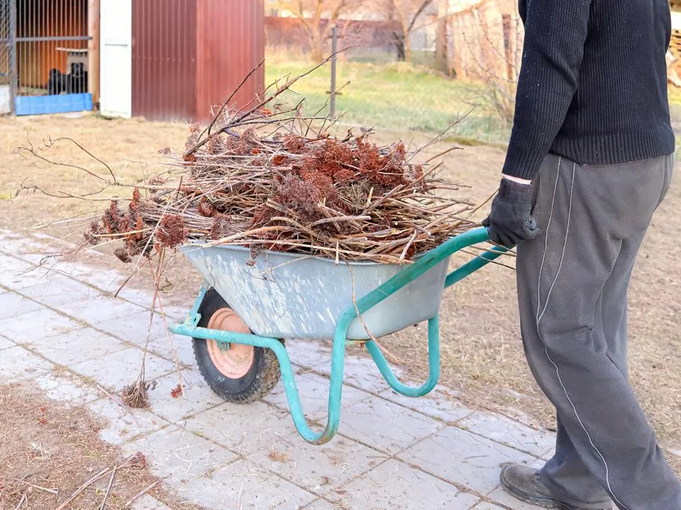 Фото: istockphoto.com