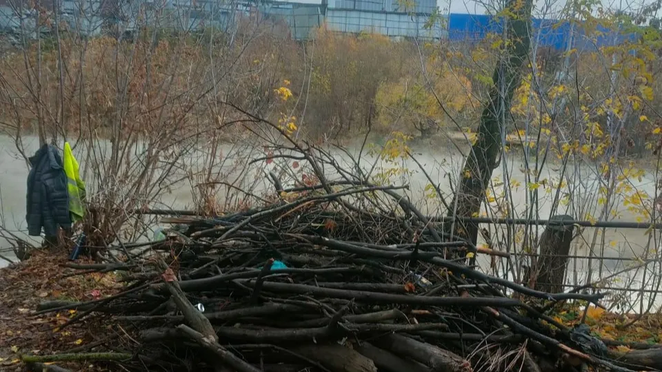 Фото: пресс-служба администрации г.о. Ленинский