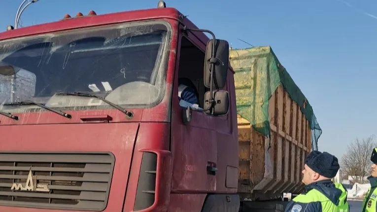 Фото: пресс-служба Министерства экологии и природопользования Московской области