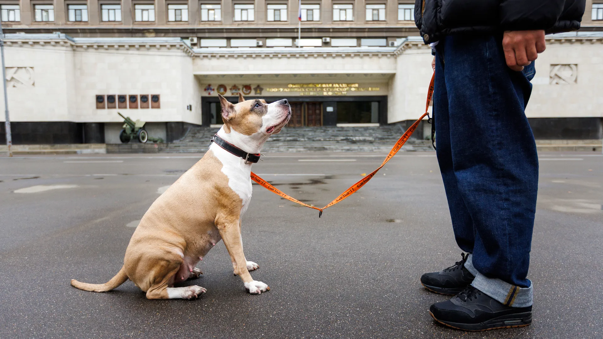 медиасток.рф
