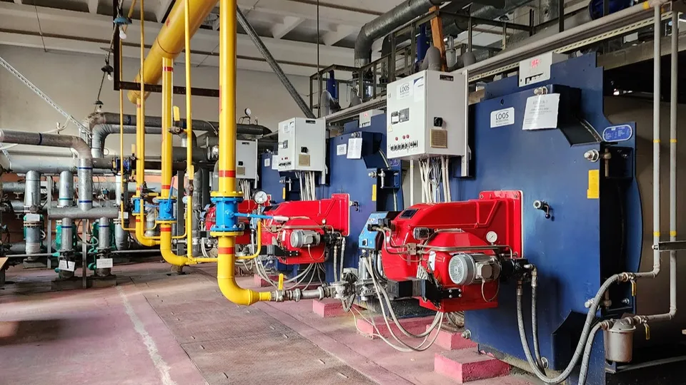 Фото: Ольга Антонова