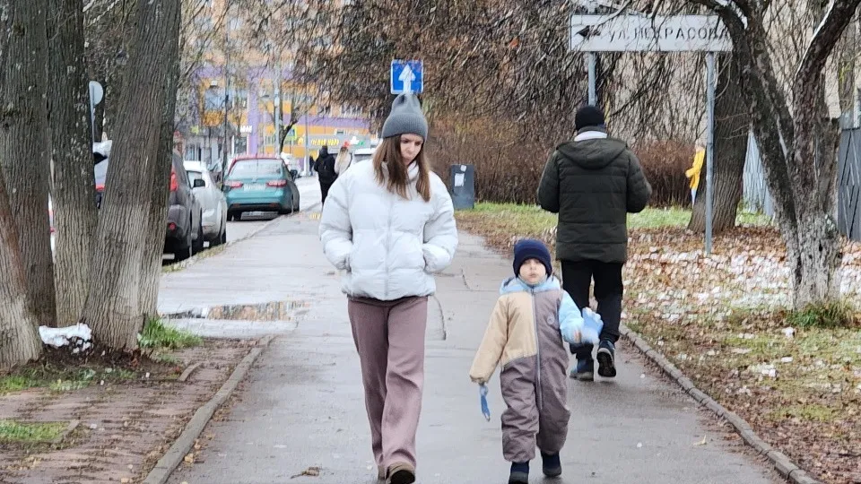 Фото: МедиаБанк Подмосковья/Хавива Фонина