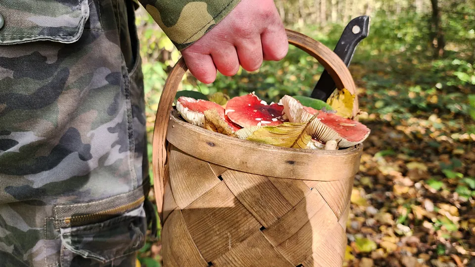 Фото: МедиаБанк Подмосковья/Александр Степушкин